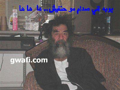 cmac > Saddam photo